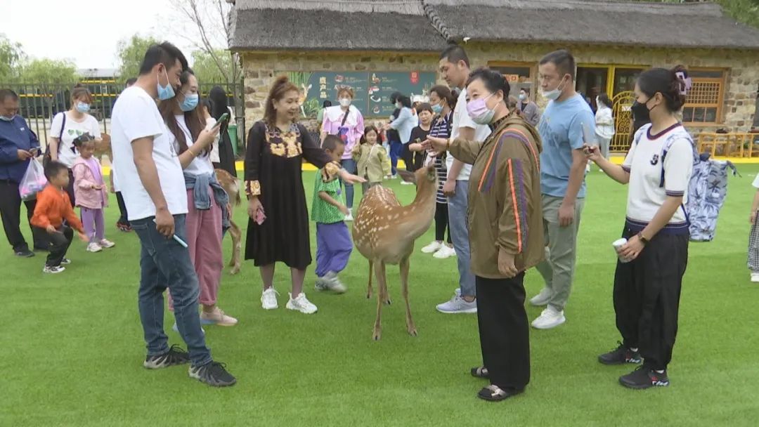 林深时见鹿 海湾处等你